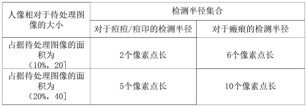 Skin blemish detection method, detection device, terminal equipment and readable storage medium