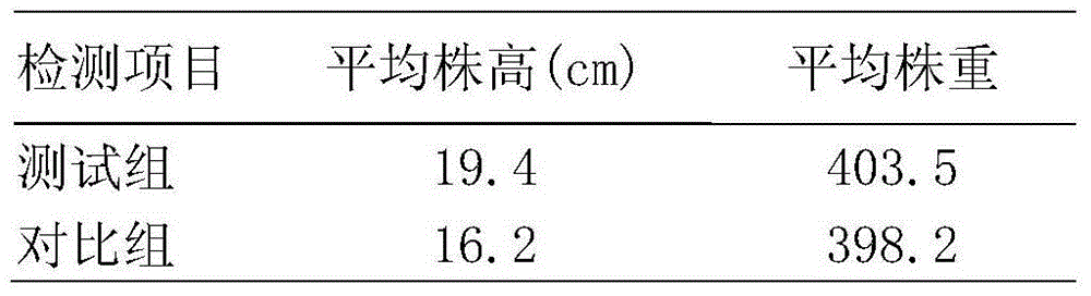 Humic acid compound fertilizer prepared by peat fermentation and preparation method thereof