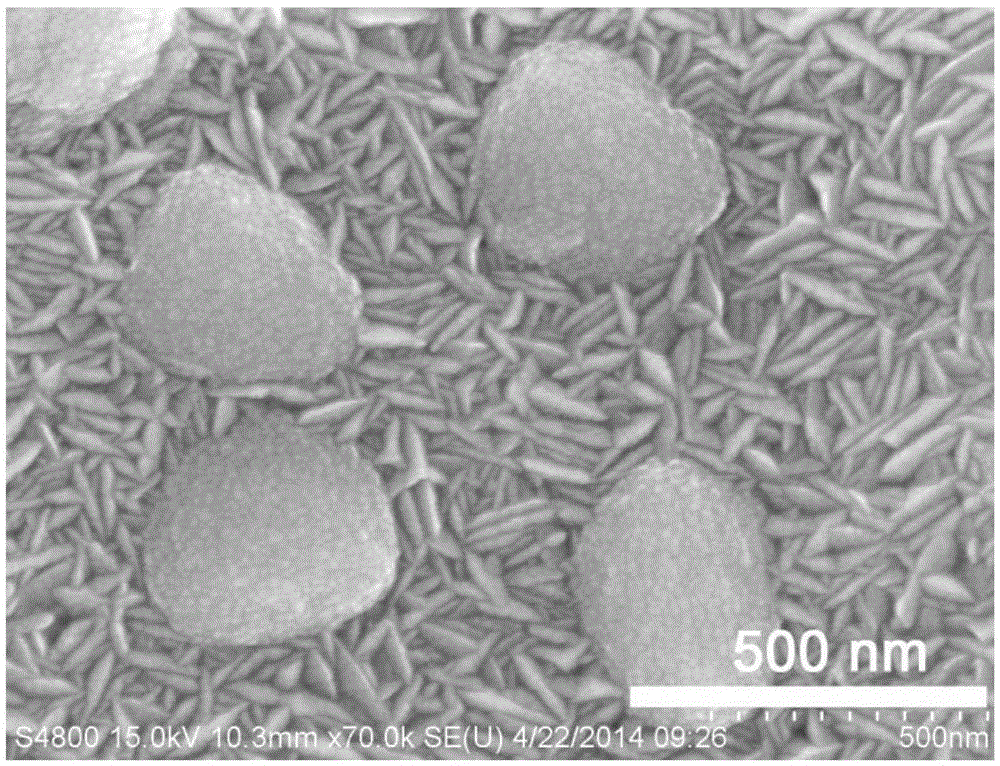 A kind of preparation method of co-p nano catalytic material