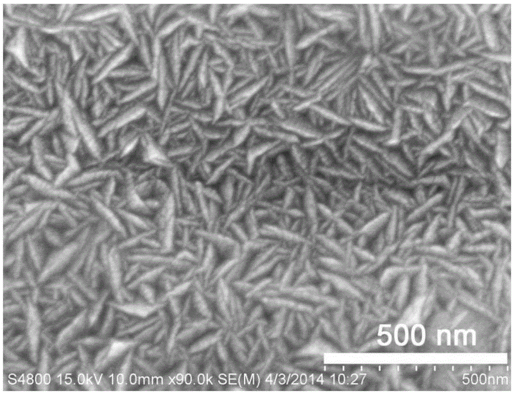 A kind of preparation method of co-p nano catalytic material