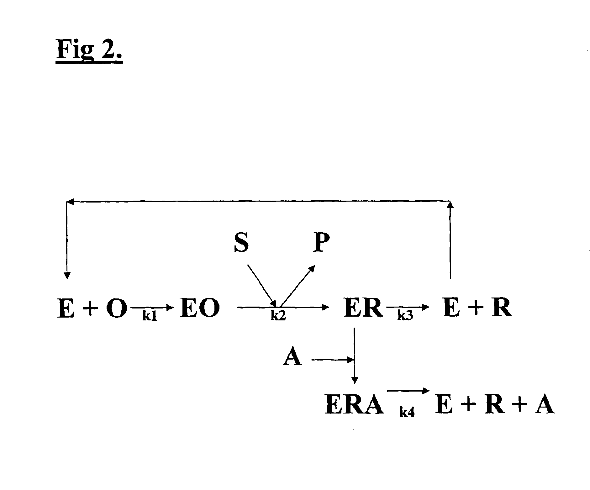 Composition for stimulation of specific metallo-enzymes