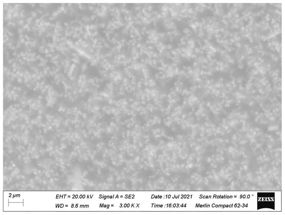 Preparation method of two-component functional filler composite coating layer for space high-energy proton radiation protection