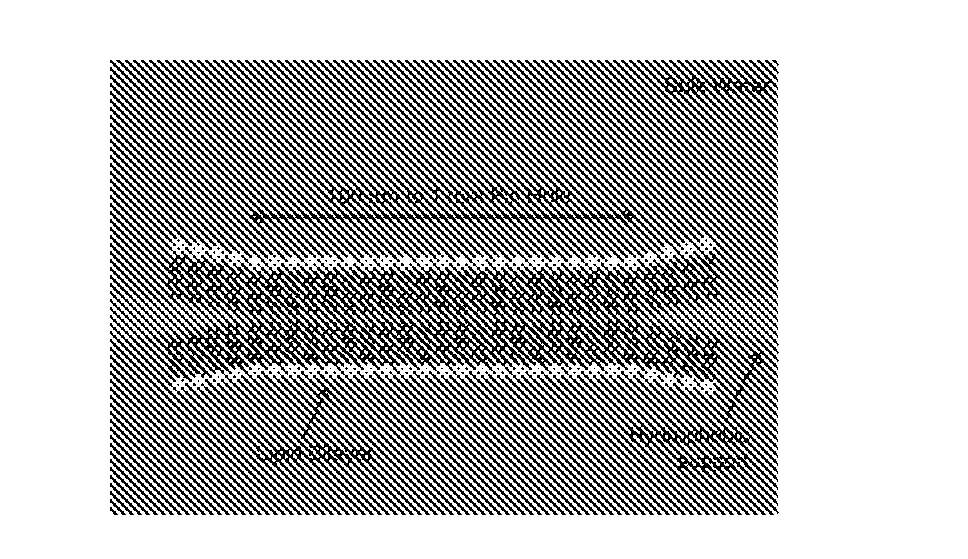 Droplet Bilayers