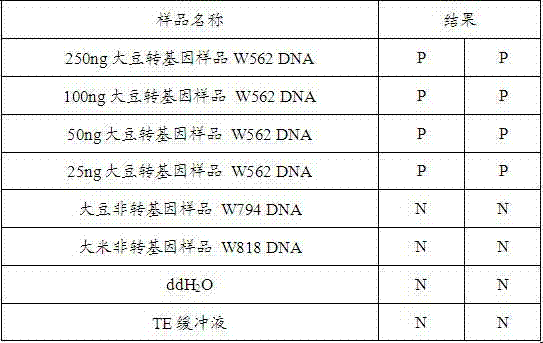 Primer for detecting CAMV35S genes, relevant kit and detecting method