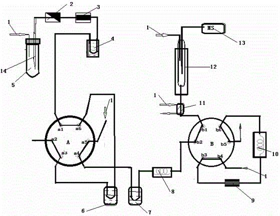 Nitrogen and oxygen isotope analyzer for nitrous oxide gas generated by denitrifying bacteria method