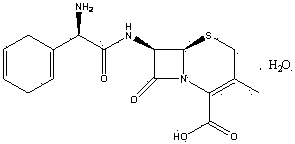 Intermediate compound for synthesizing Cefradine or Cefroxadine, and preparation method and application thereof