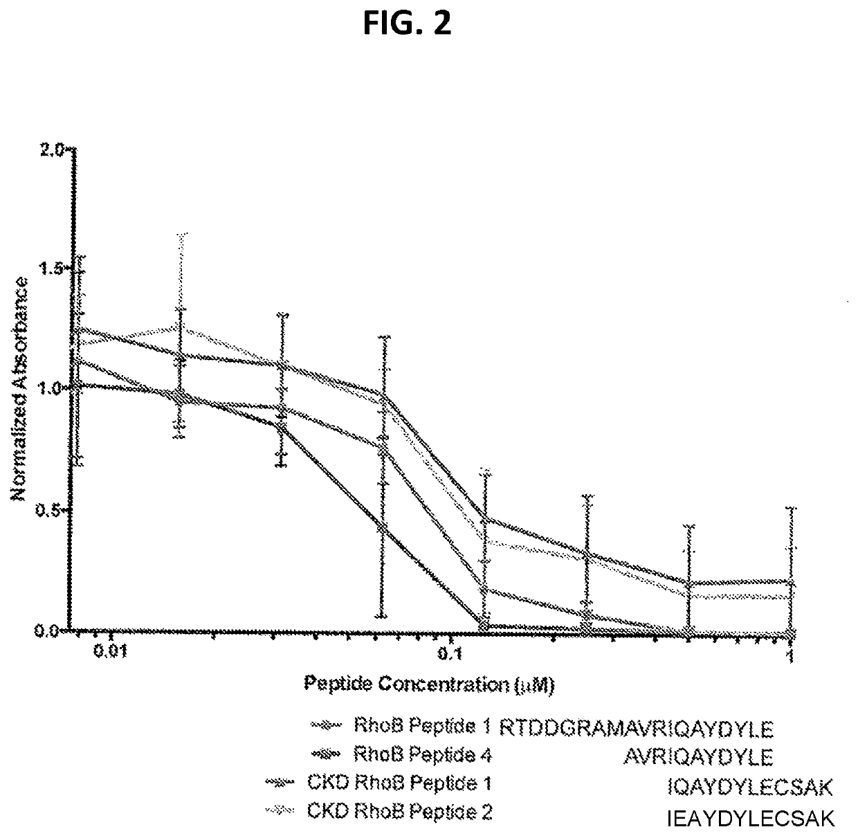 Compositions comprising ligands to rhob protein and the uses thereof