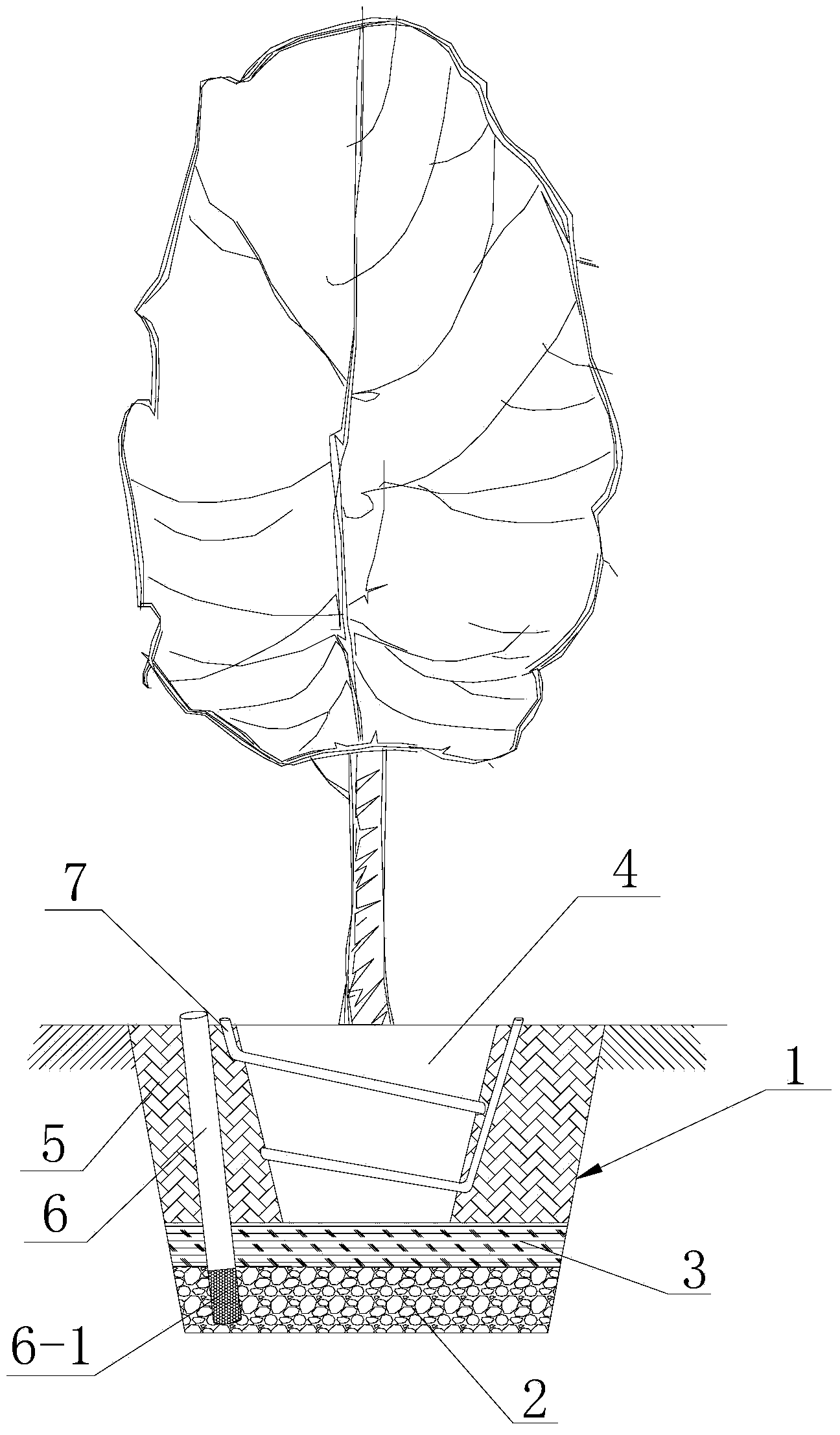 Method for transplanting large-sized landscape tree in saline-alkali soil and structural layout for transplanted-tree pit