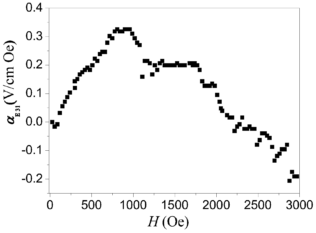 Magneto-electric composite material compounded by magnetic nano-fibers and ferroelectric film and preparation method thereof