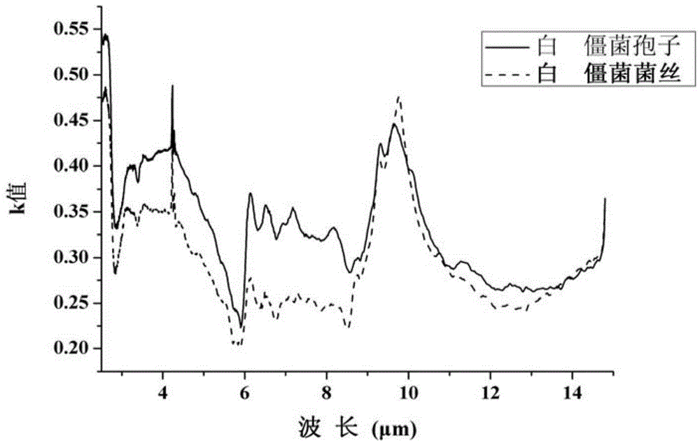 Determination method for complex refractive index of entomogenous fungus beauveria bassiana or green muscardine fungus