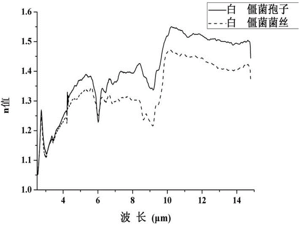 Determination method for complex refractive index of entomogenous fungus beauveria bassiana or green muscardine fungus