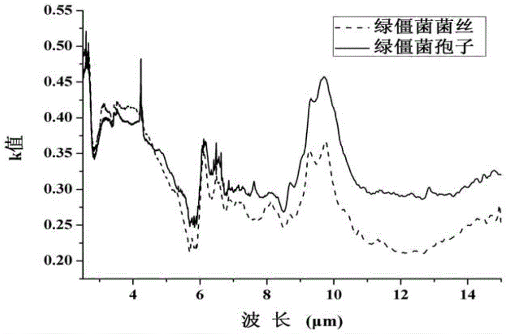 Determination method for complex refractive index of entomogenous fungus beauveria bassiana or green muscardine fungus