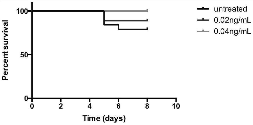 A construction method and application of a zebrafish nk/tcl tumor model