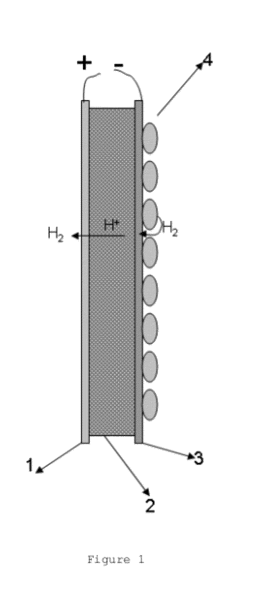 Hydrogen or oxygen electrochemical pumping catalytic membrane reactor and its applications