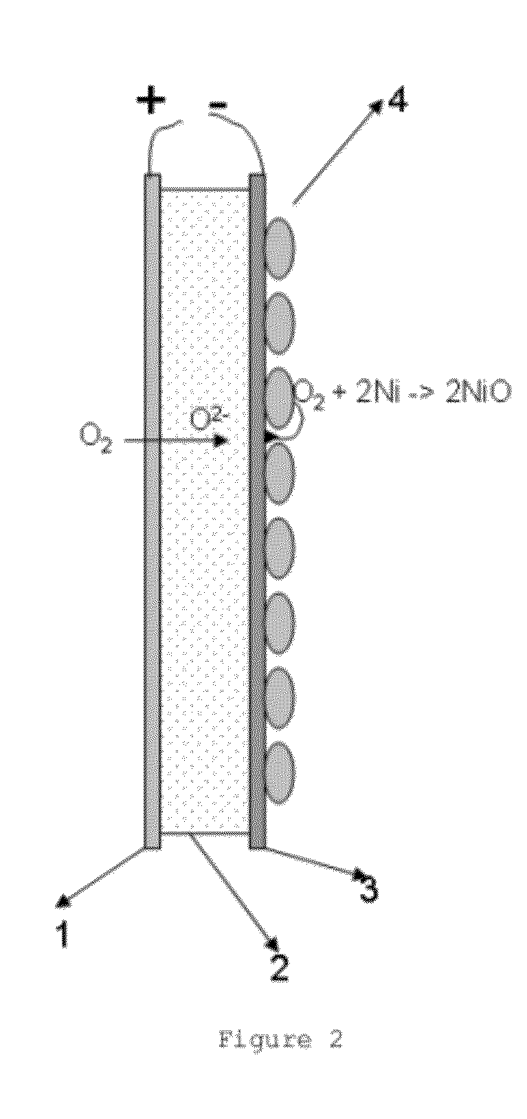 Hydrogen or oxygen electrochemical pumping catalytic membrane reactor and its applications