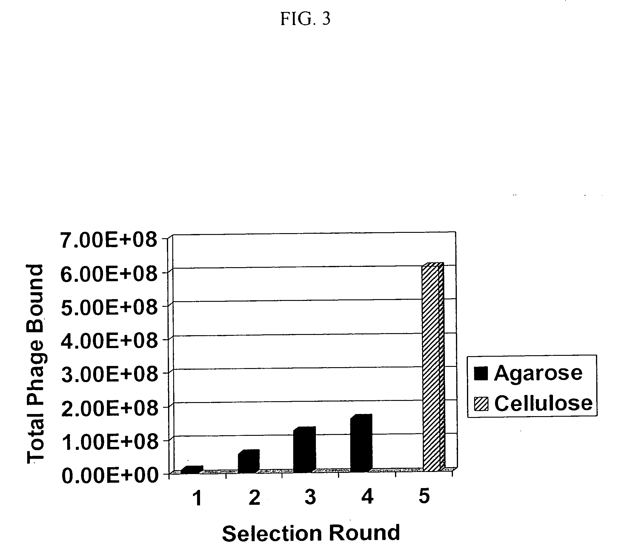 Peptides for targeting the prostate specific membrane antigen