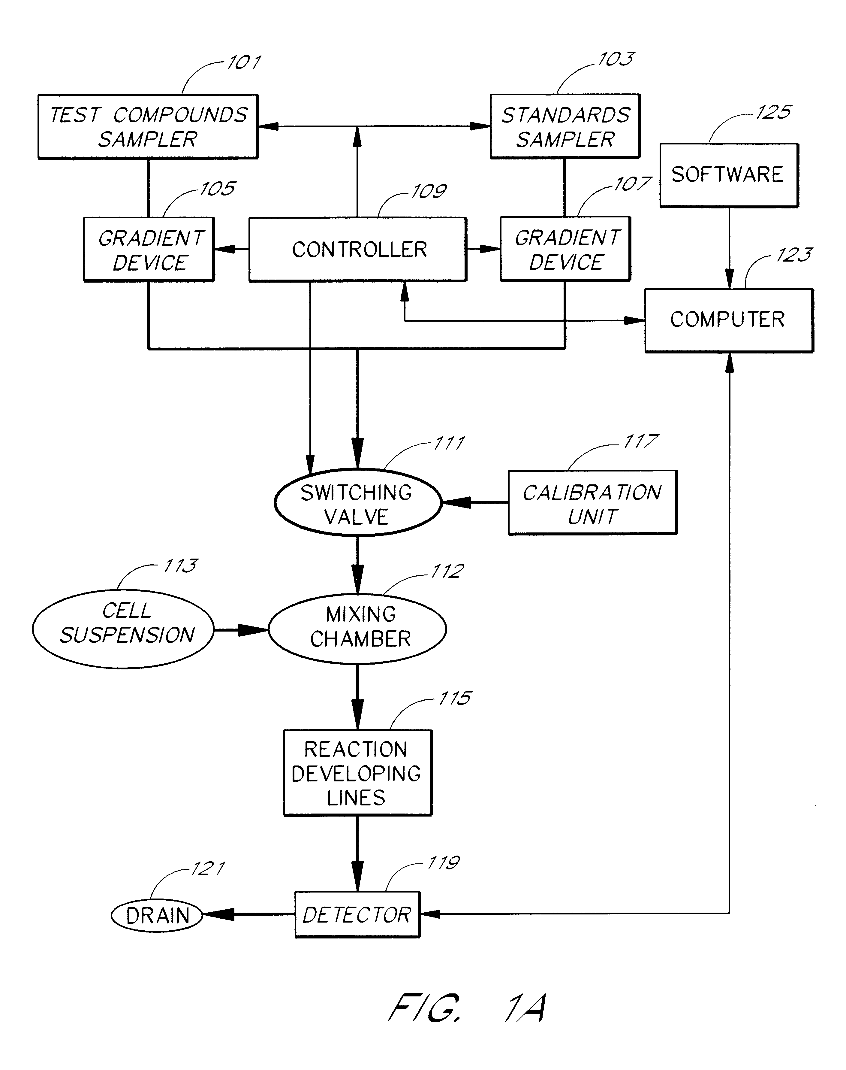 Cell flow apparatus and method for real-time of cellular responses