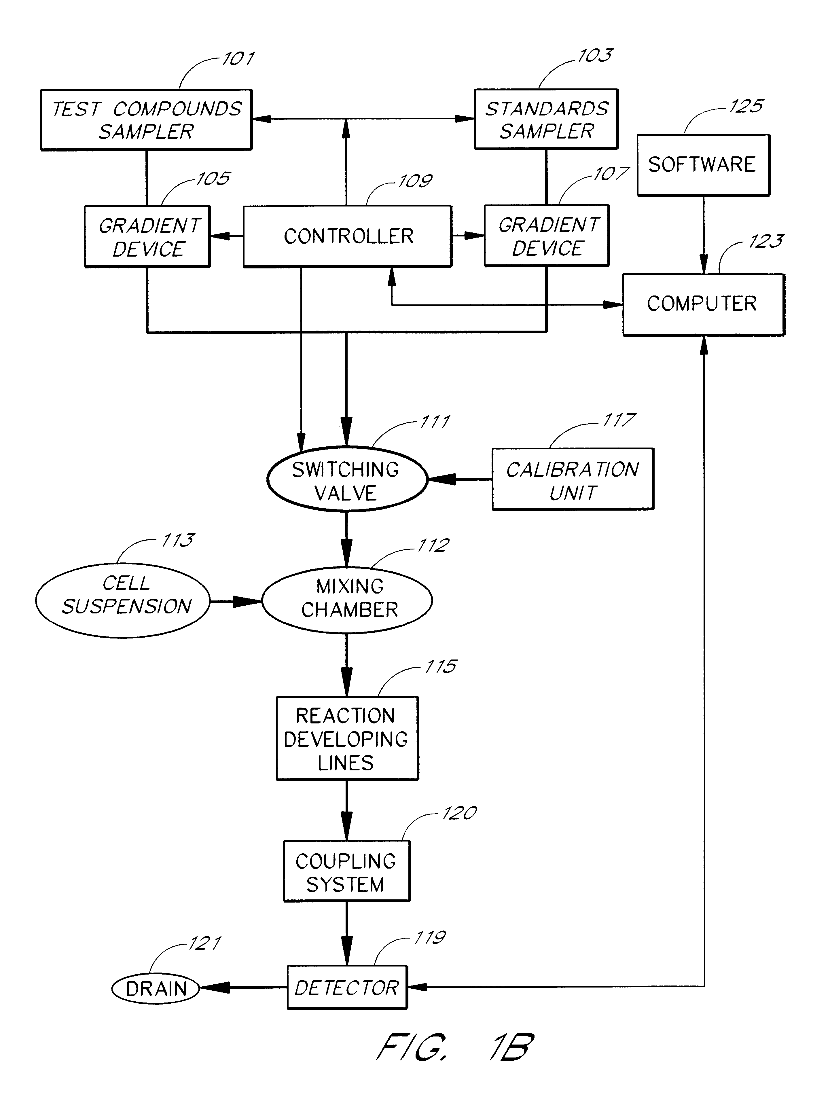 Cell flow apparatus and method for real-time of cellular responses