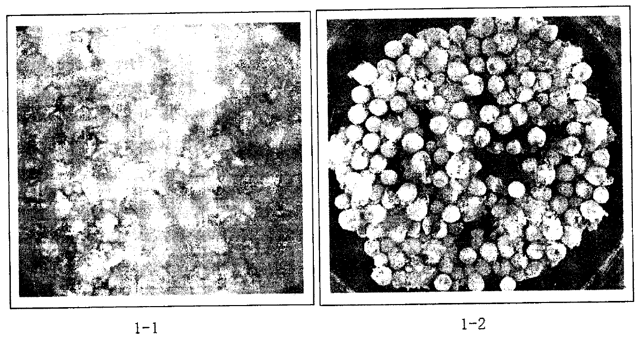 Disintegrating magnesium-containing granular fertilizer and preparation method thereof