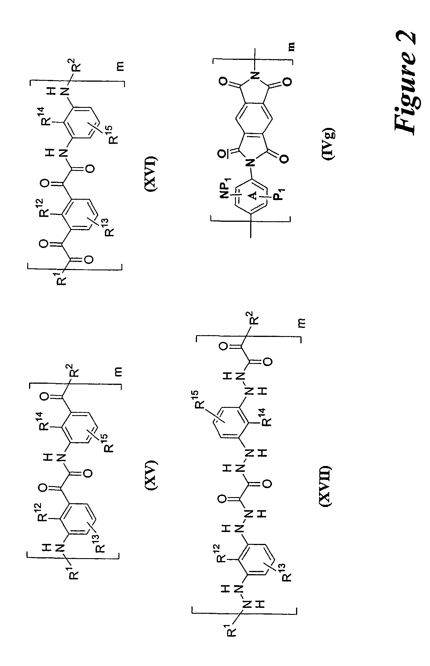 Facially amphiphilic polymers as anti-infective agents