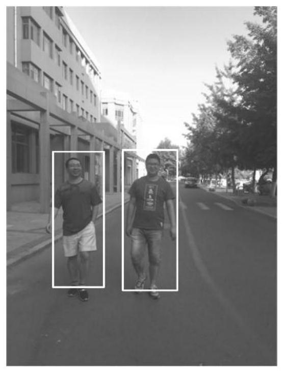 A Preprocessing Method for Pedestrian Target Misdetection Removal