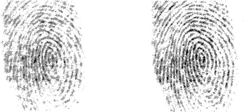 Enhancement method of fingerprint image