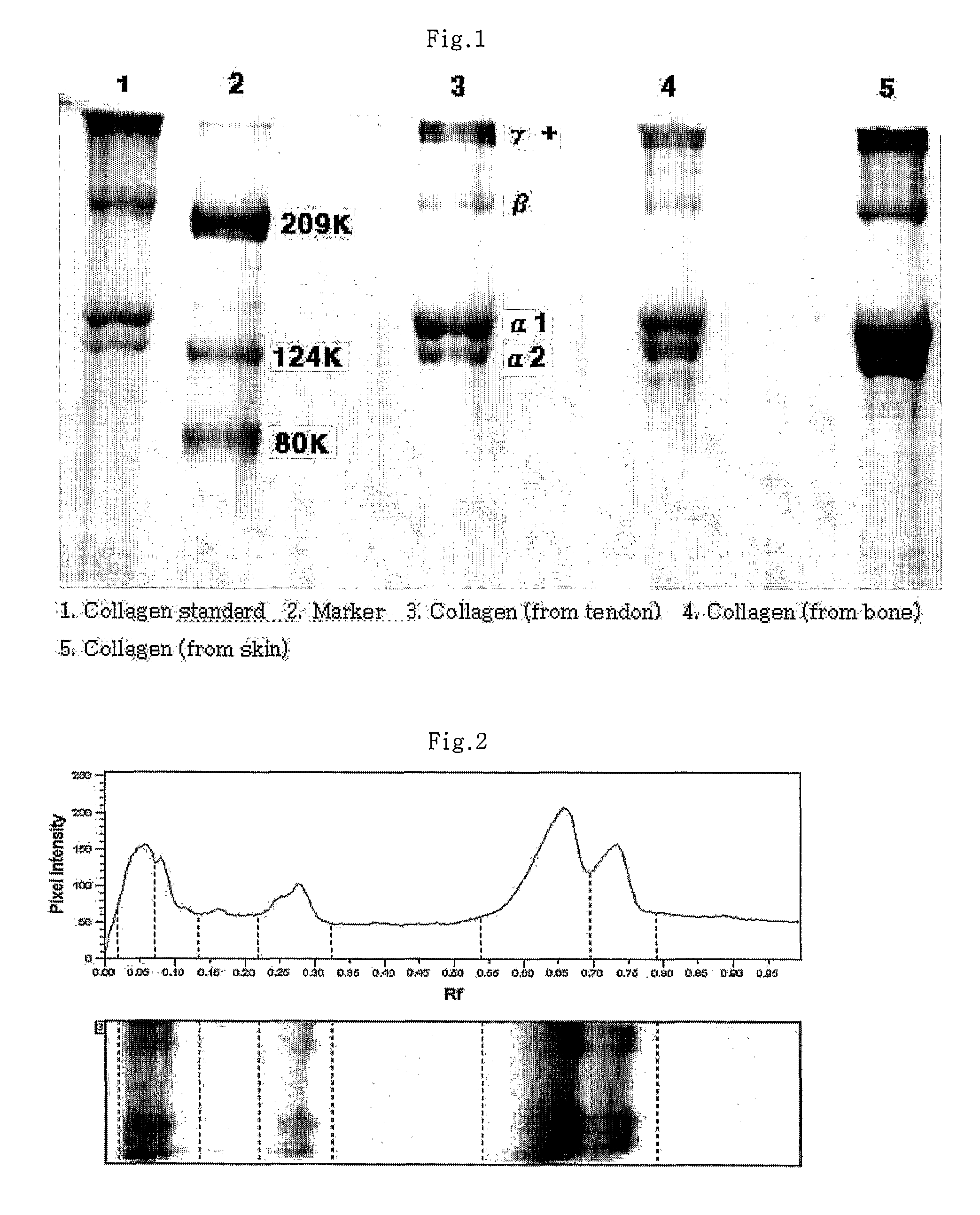 Method of separating collagen from the various animal tissues for producing collagen solution and product using the same