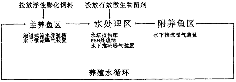 Ultra-high-density industrial pond ecological breeding system and regulation method thereof
