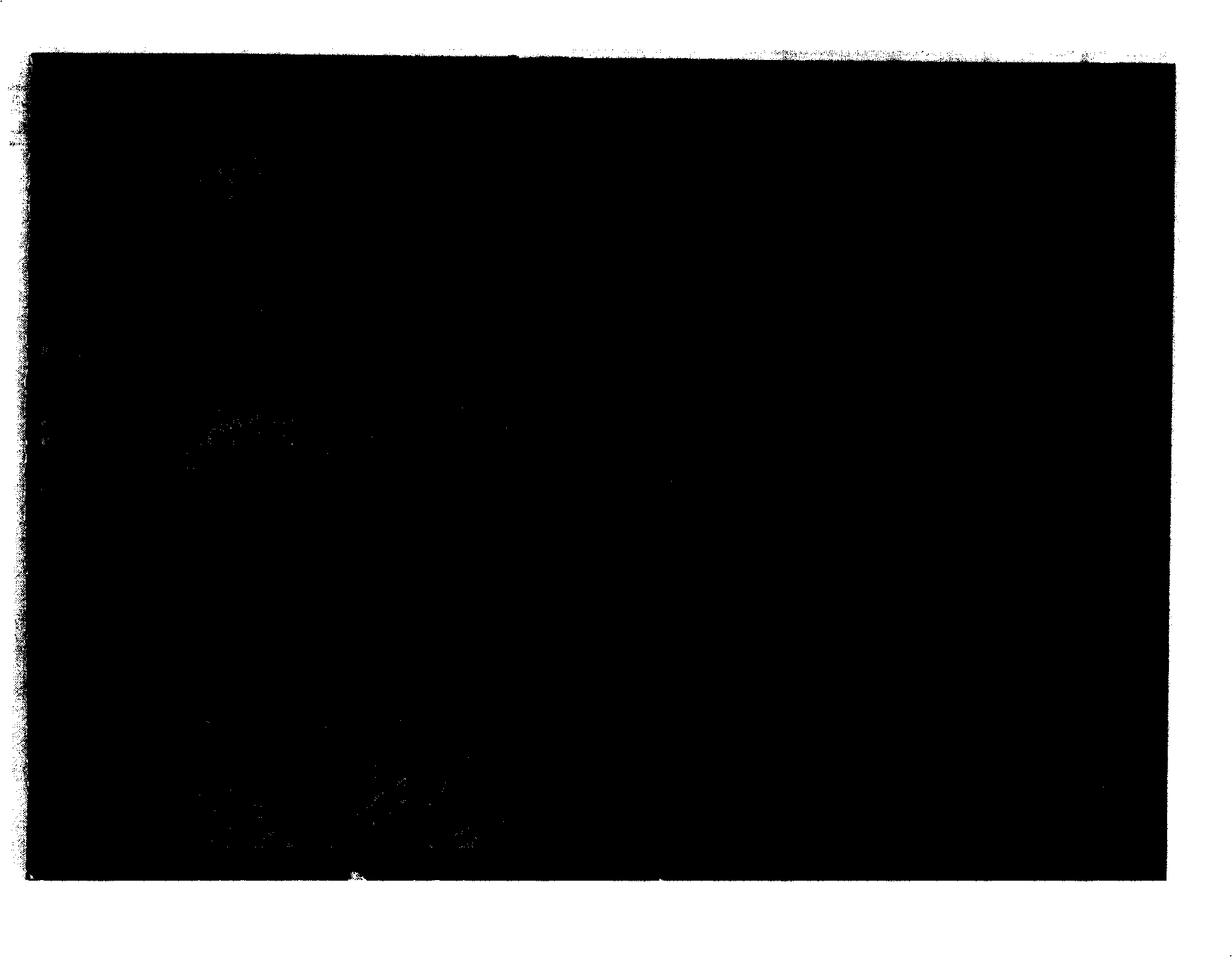 Method for preparing cementite