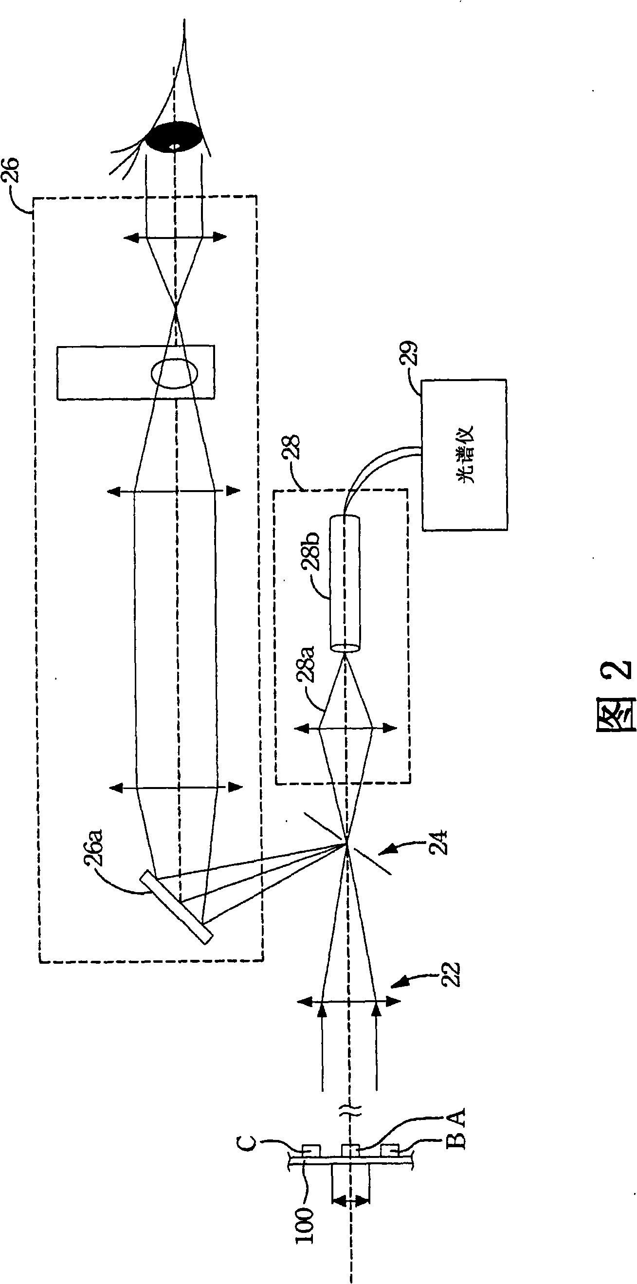 High-speed optical sensing apparatus and system capable of simultaneously sensing luminous intensity and chroma