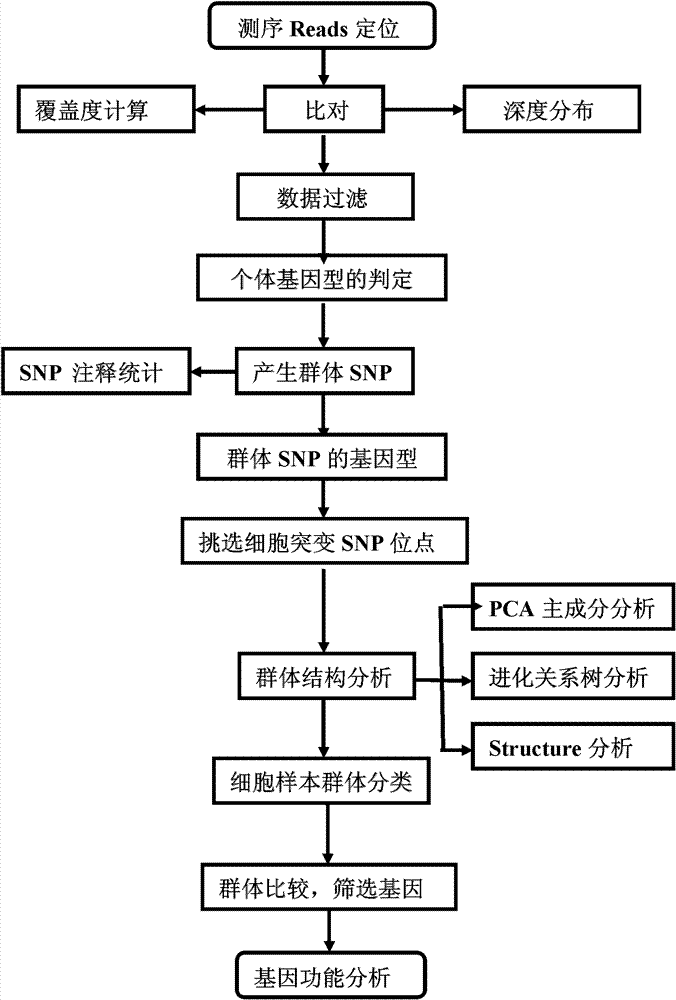 Method for single cell classification and screening and device therefor