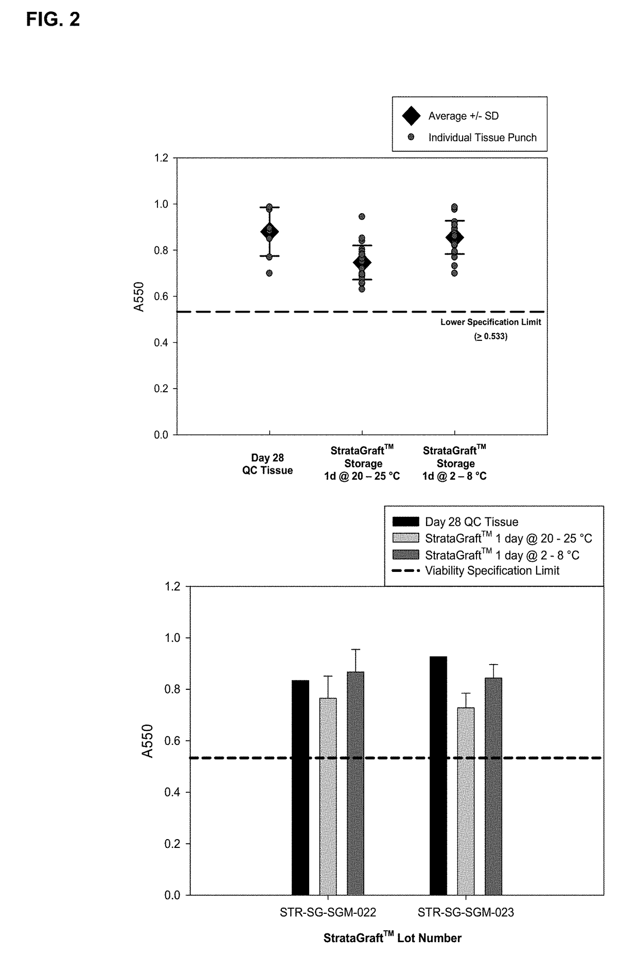 Cold storage of organotypically cultured skin equivalents for clinical applications