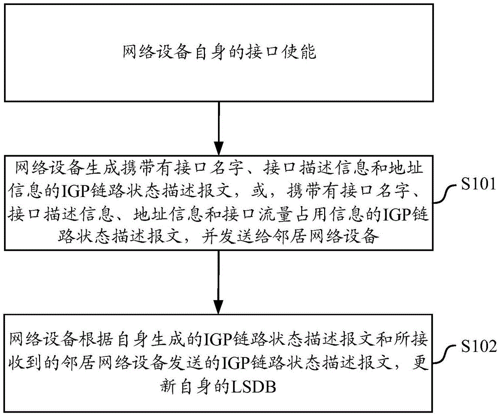 Network topology information acquisition method and device