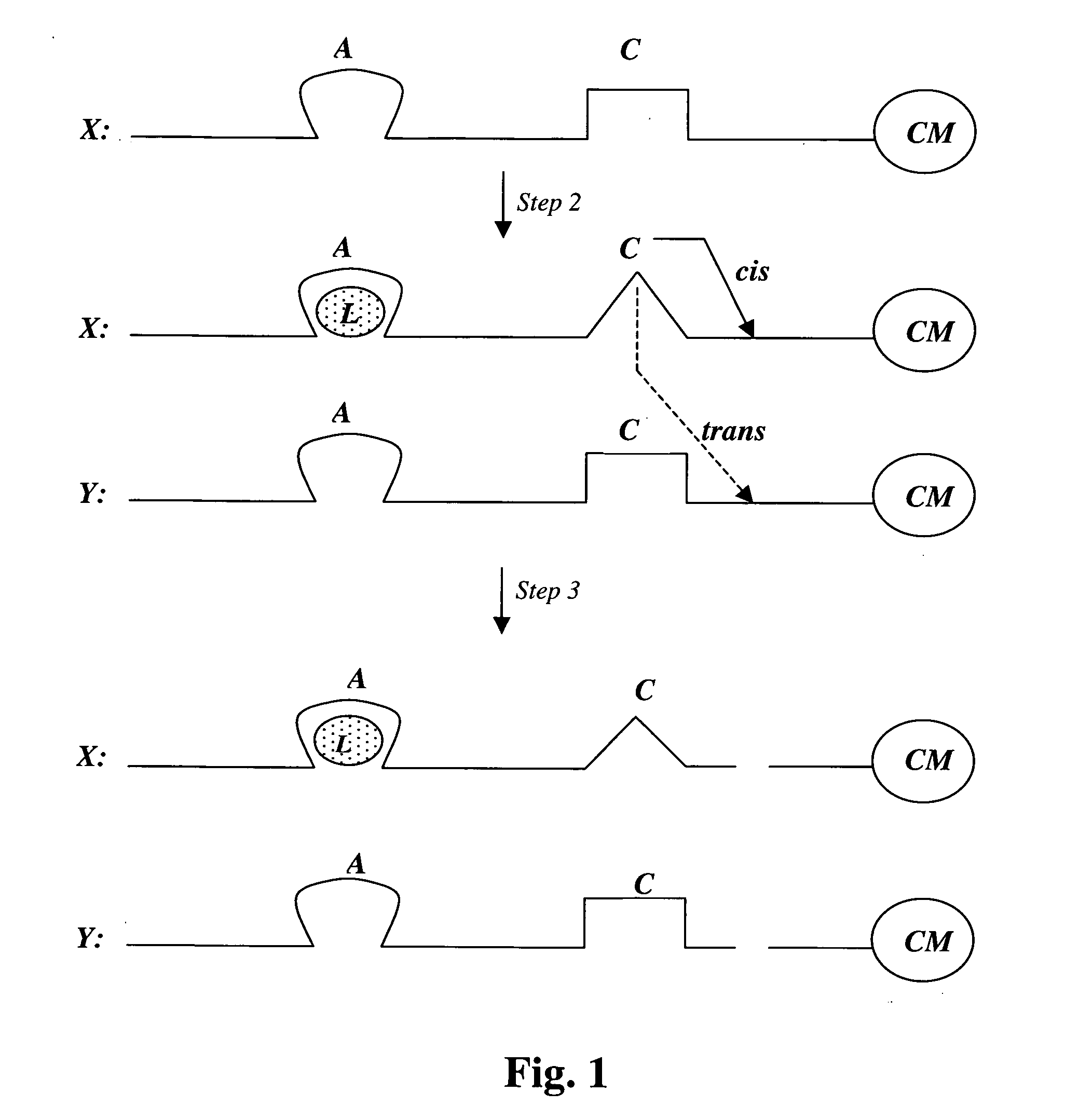 Nucleic acid aptamer-based compositions and methods