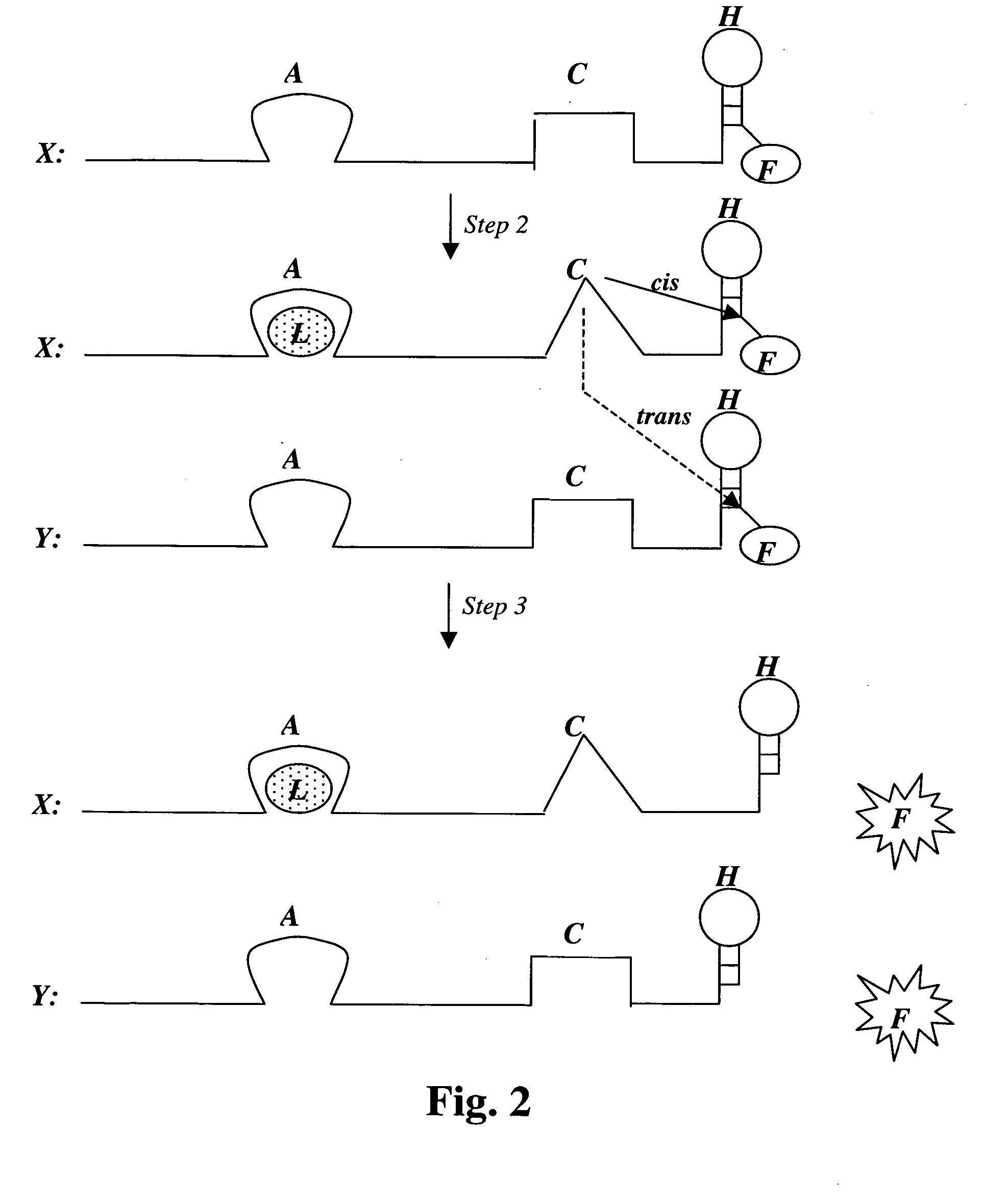 Nucleic acid aptamer-based compositions and methods