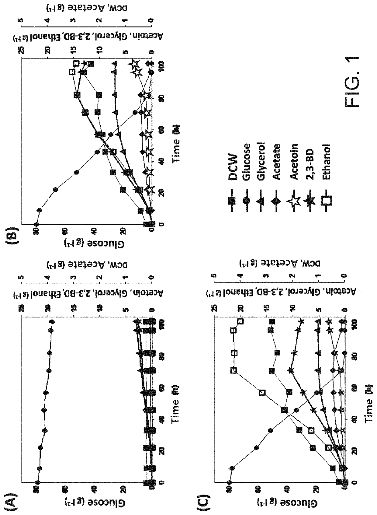 Recombinant yeast for producing 2,3-butanediol including pyruvate decarboxylase derived from candida tropicolis and method for producing 2,3-butanediol using the same