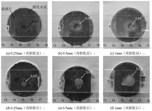 Measurement method of re-expansion rate of superabsorbent resin in simulated crack