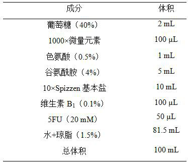 A kind of bacillus subtilis glycerol kinase mutant gene glpk and its application