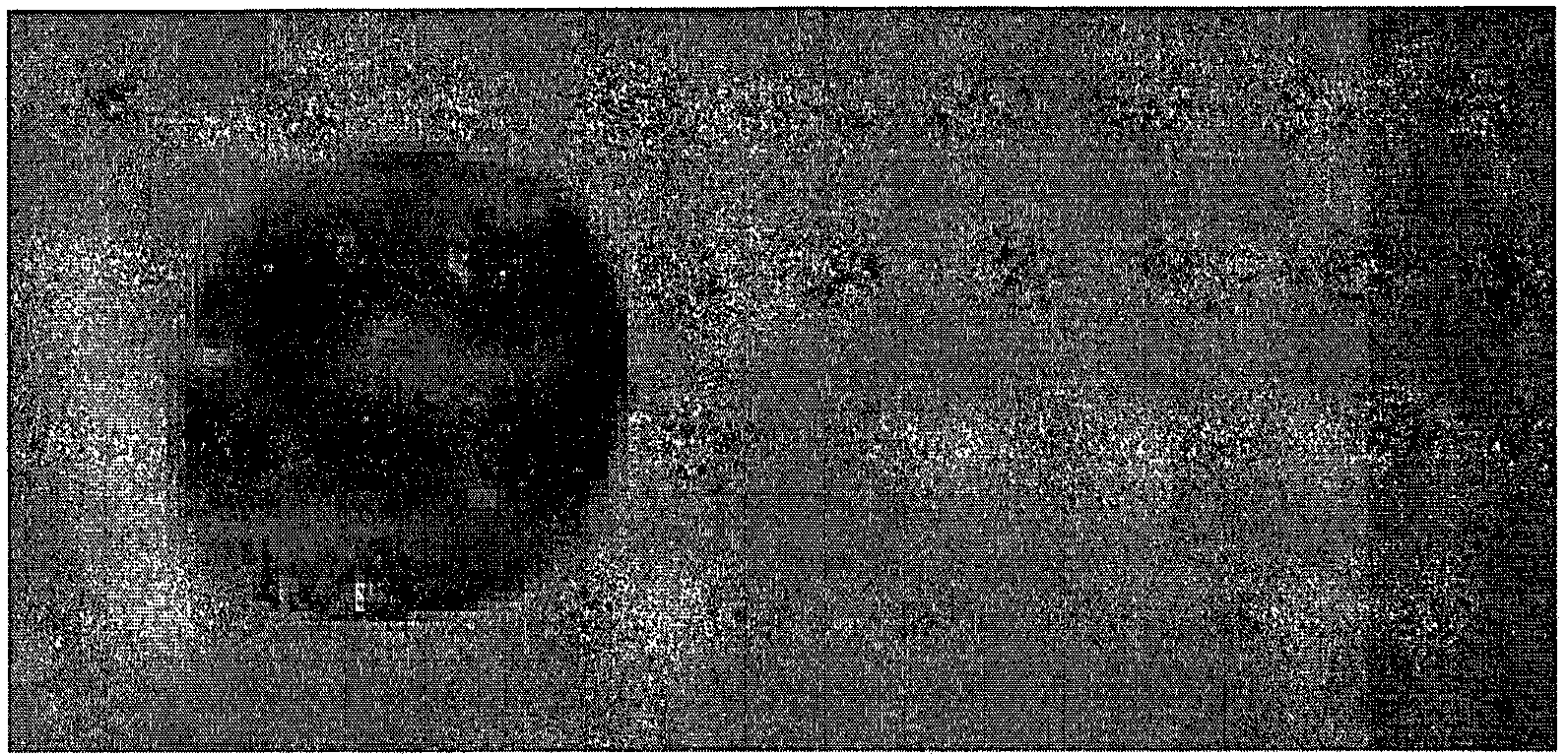 Phenyl-containing organopolysiloxane composition, raw cosmetic material, and glossy cosmetic material