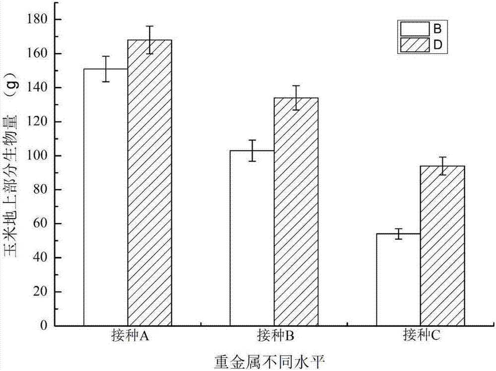 Method for plant-microbial remediation of heavy-metal polluted soil