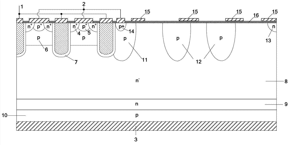 Insulated gate bipolar transistor with dielectric layer at collector terminal