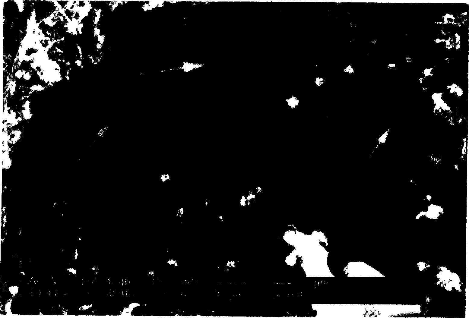 Method for preparing spiral carbon nano pipe