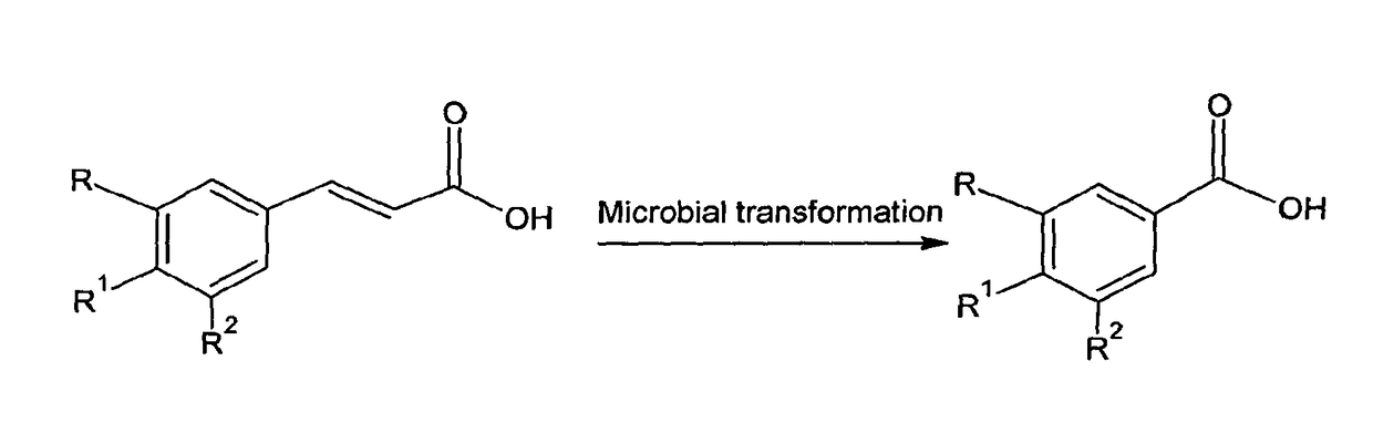 Microbial biotransformation of aromatic acids to their reduced carbon aromatic acids