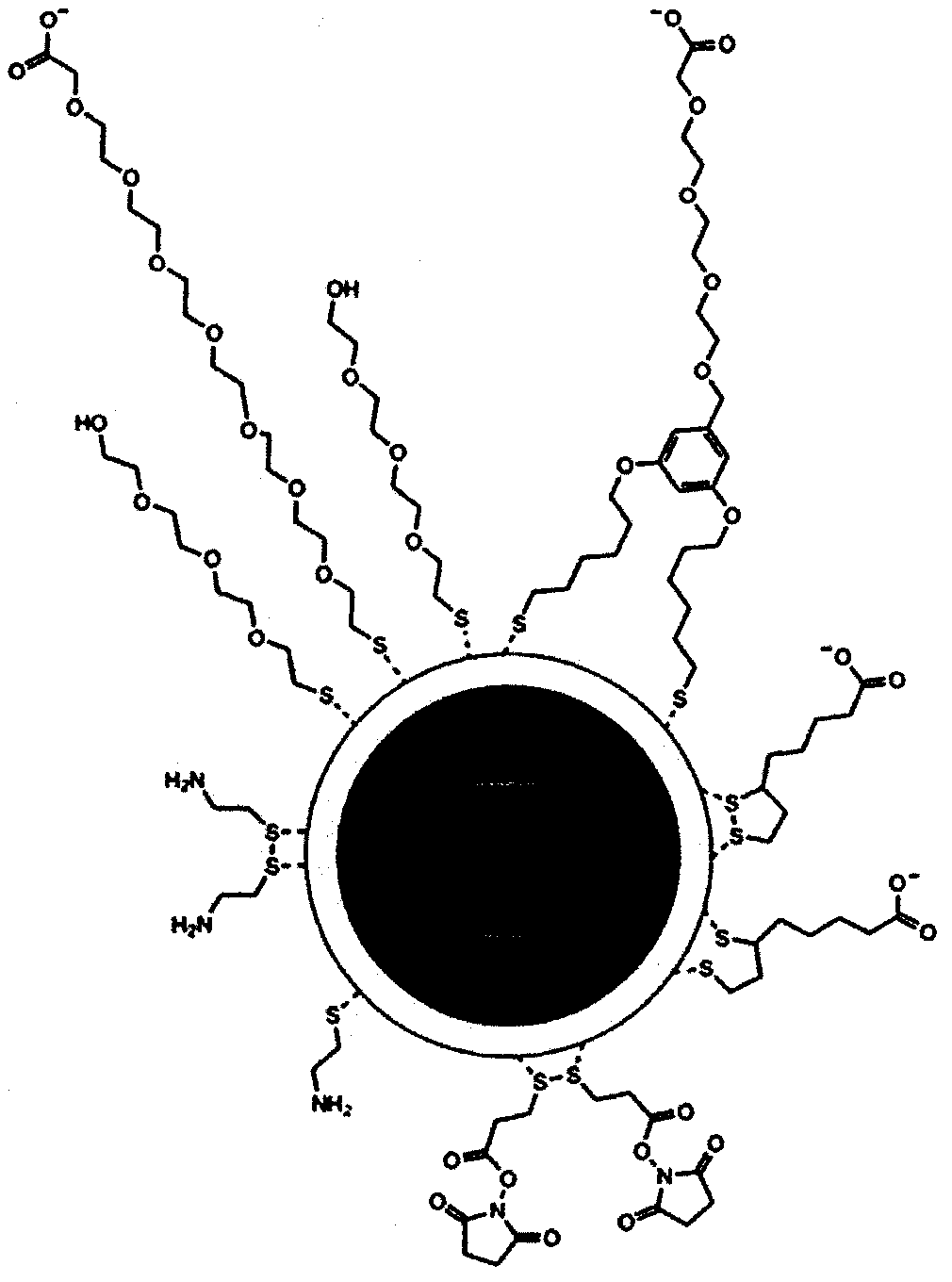 Preparation method of poly(sulfydryl)-modified composite nanoparticle probe of covalent coupling antibody