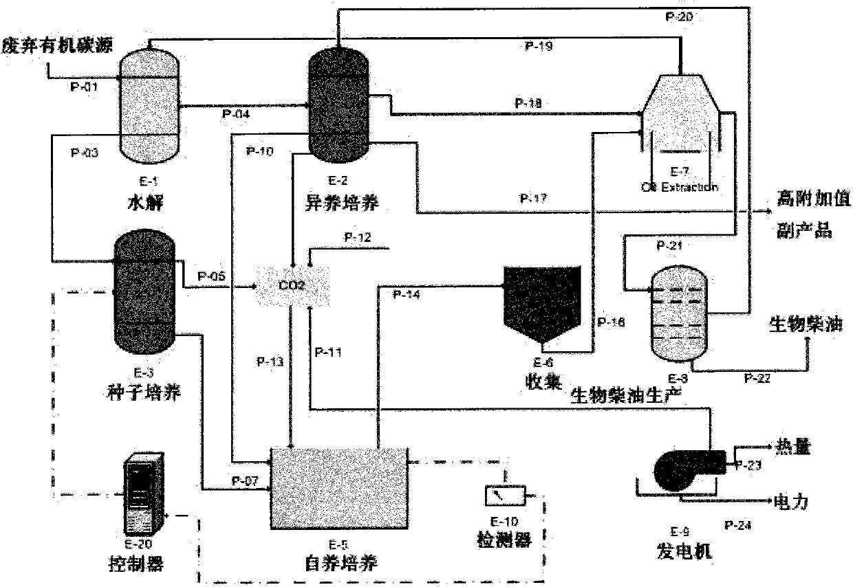 Integrated system for productioin of biofuel feedstock