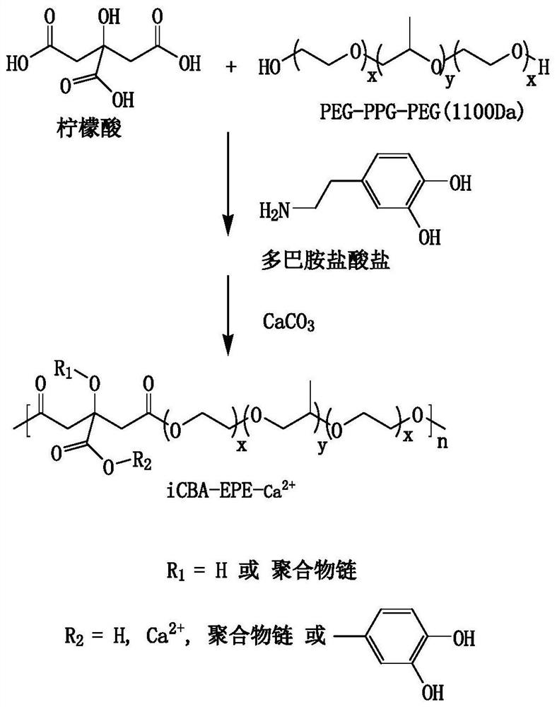 A kind of degradable thermosensitive adhesive and its preparation method and application