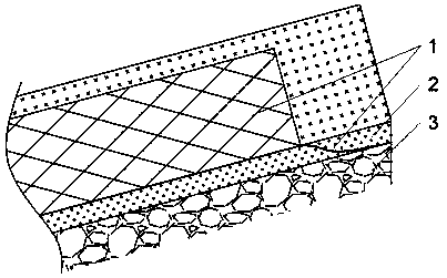 A kind of asphalt pavement with reinforced mesh