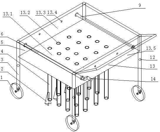 Bean sowing machine