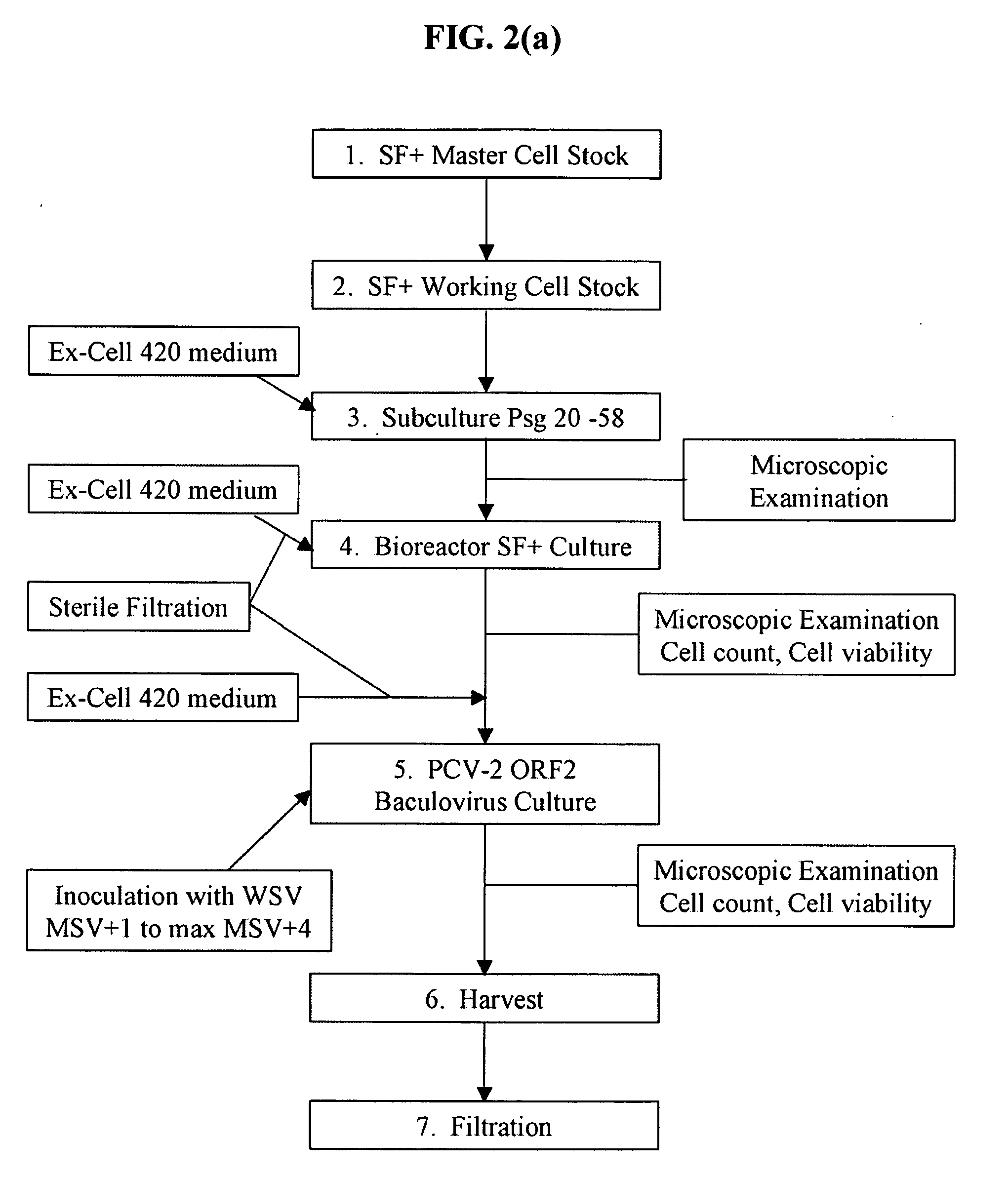 Pcv2 immunogenic compositions and methods of producing such compositions