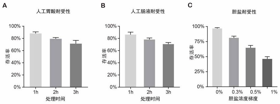 Bifidobacterium adolescentis and application thereof in metabolic syndrome